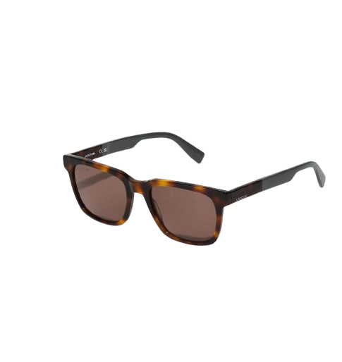 https://accessoiresmodes.com//storage/photos/2339/LUNETTE LACOSTE/Tatoue.marron L996S.png